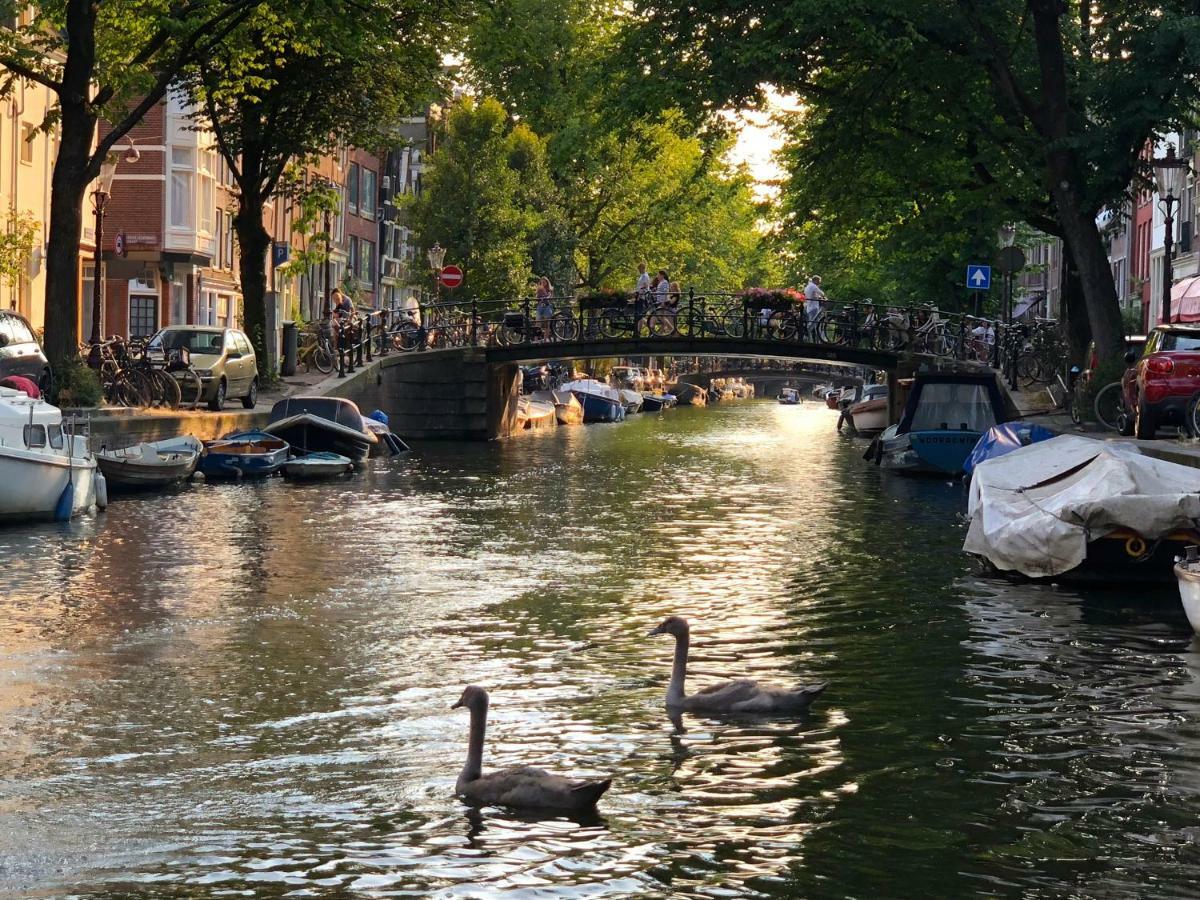 Villa360 Amsterdam Bagian luar foto